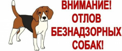 Внимание! Отлов животных без владельцев!!!